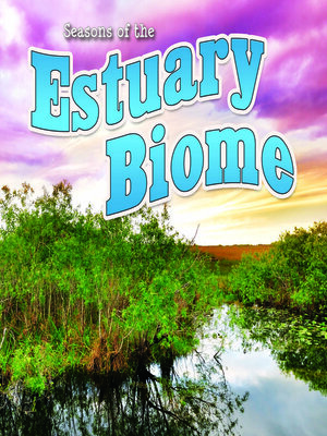 Seasons of the Estuary Biome - ebook